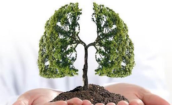 8 CÁCH LÀM SẠCH PHỔI ĐƠN GIẢN, HIỆU QUẢ 8 CÁCH LÀM SẠCH PHỔI ĐƠN GIẢN, HIỆU QUẢ