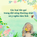 Các loại tên gọi và ý nghĩa tâm linh Các loại tên gọi và ý nghĩa tâm linh