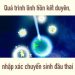 Quá trình linh hồn kết duyên và nhập thai – TGTT