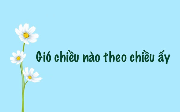 Ý nghĩa câu: Gió chiều nào theo chiều ấy